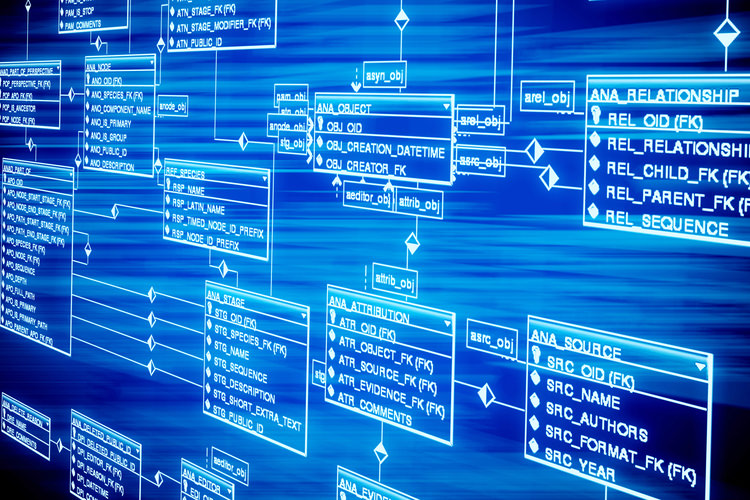 database