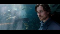 ۵ - ما: اخبار سینما و بررسی فیلم نقد فیلم KNIGHT OF CUPS