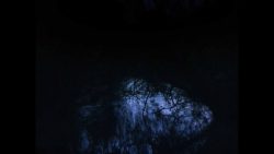 ۱ - ما: اخبار سینما و بررسی فیلم نقد و بررسی فیلم sleep has her house