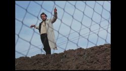 نقد و بررسی فیلم landscape in the mist
