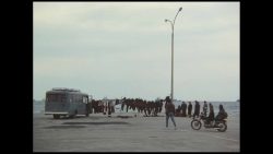 نقد و بررسی فیلم landscape in the mist