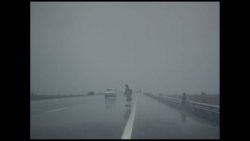 نقد و بررسی فیلم landscape in the mist