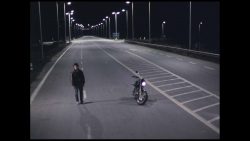 نقد و بررسی فیلم landscape in the mist