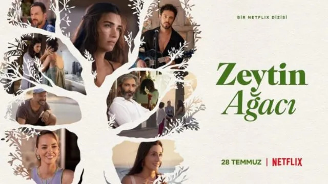فصل دوم و سوم درخت زیتون (Zeytin Ağacı) در راه است!