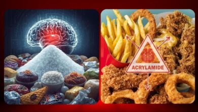 بدترین ۵ خوراکی برای حافظه؛ چه چیزهایی را باید برای سلامت بهتر مغز از رژیم غذایی حذف کنیم؟