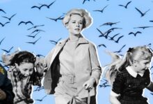 از «Sirens» تا «The Residence»: چرا پرنده‌نگری به سرگرمی لوکس و تم جدید سریال‌های پرستیژ تبدیل شده است؟