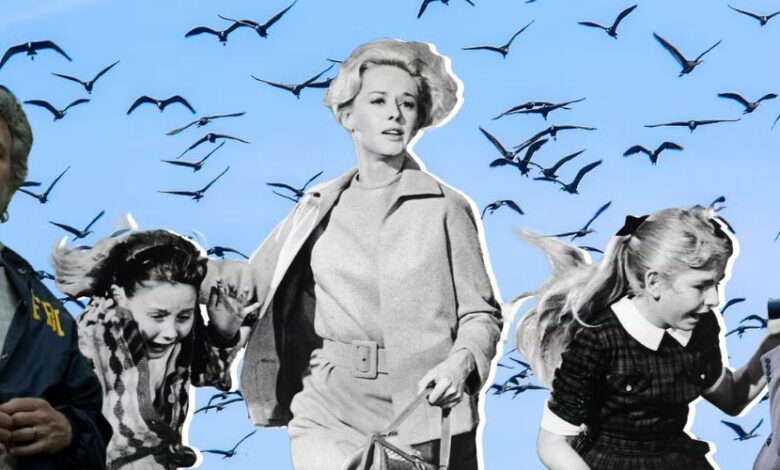 از «Sirens» تا «The Residence»: چرا پرندهنگری به سرگرمی لوکس و تم جدید سریالهای پرستیژ تبدیل شده است؟